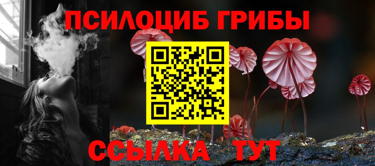 Галлюциногенные грибы мицелий Великий Устюг